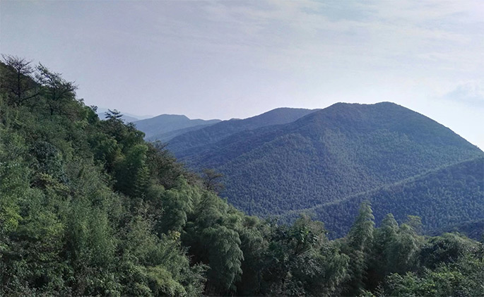 宜興旅游網(wǎng)站建設(shè) 宜興旅游網(wǎng)站建設(shè)