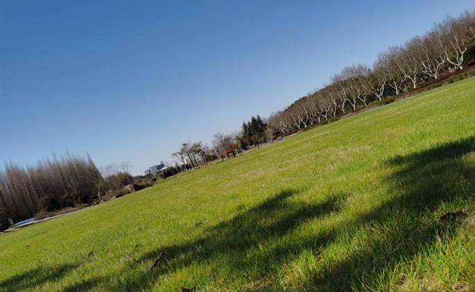 宜興旅游網(wǎng)站建設(shè) 宜興旅游網(wǎng)站建設(shè)